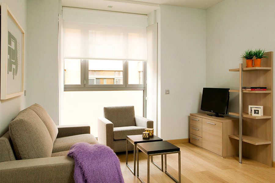 Salón del apartamento de 2 habitaciones del Edificio Proinca Infanta Mercedes de Madrid