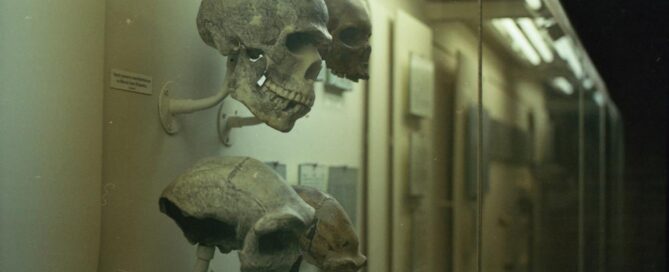Madrid: museo reverte, raro, raro, raro. Para verlo!