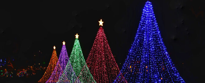 28 de noviembre, fun, fun...¡feliz encendido de luces de navidad en Madrid!
