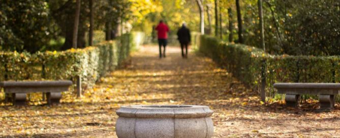 Un dia de otoño para evadirse y disfrutar en Madrid