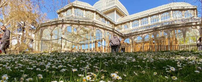 Invernadero de Arganzuela, naturaleza viva en Madrid