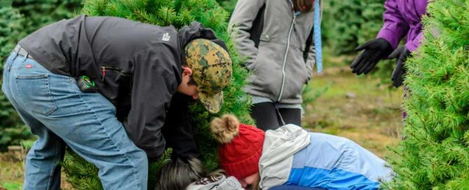 Madrid con niños en navidad